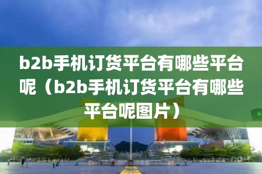 b2b手机订货平台有哪些平台呢（b2b手机订货平台有哪些平台呢图片）